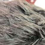 Barber Shop Rincon Barberia Estudio en Cuenca